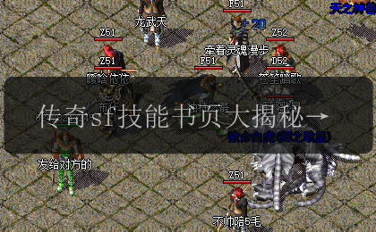 传奇sf技能书页大揭秘_各种分类及数量曝光